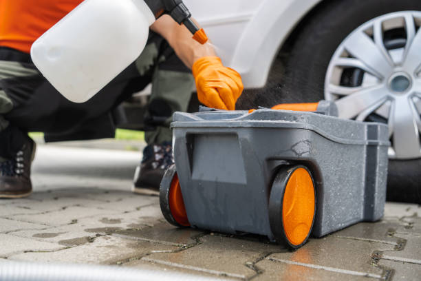 Trusted Piedmont, CA Tree Removal Experts